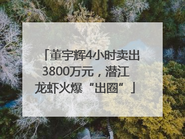 董宇辉4小时卖出3800万元，潜江龙虾火爆“出圈”