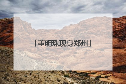 董明珠现身郑州