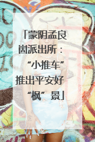 蒙阴孟良崮派出所：“小推车”推出平安好“枫”景