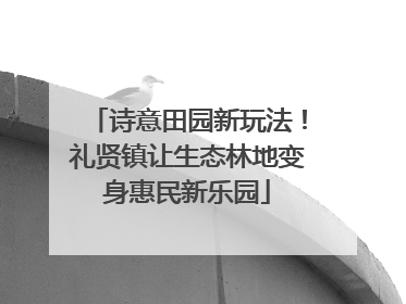诗意田园新玩法！礼贤镇让生态林地变身惠民新乐园