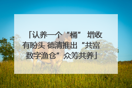 认养一个“桶” 增收有盼头 德清推出“共富数字渔仓”众筹共养
