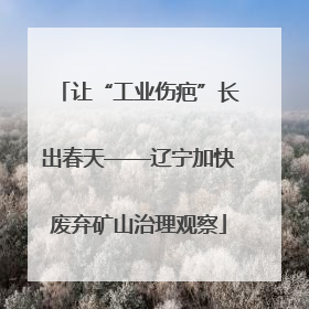 让“工业伤疤”长出春天——辽宁加快废弃矿山治理观察