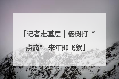 记者走基层｜杨树打“点滴” 来年抑飞絮