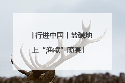 行进中国丨盐碱地上“渔歌”嘹亮