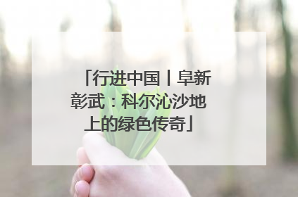 行进中国丨阜新彰武：科尔沁沙地上的绿色传奇