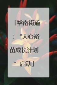 裕南街道：“天心裕苗成长计划”启动