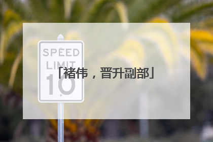 褚伟，晋升副部