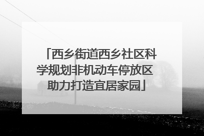 西乡街道西乡社区科学规划非机动车停放区 助力打造宜居家园