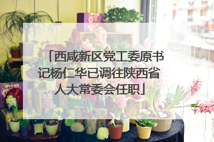 西咸新区党工委原书记杨仁华已调往陕西省人大常委会任职