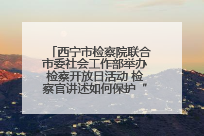 西宁市检察院联合市委社会工作部举办检察开放日活动 检察官讲述如何保护“少年的你”