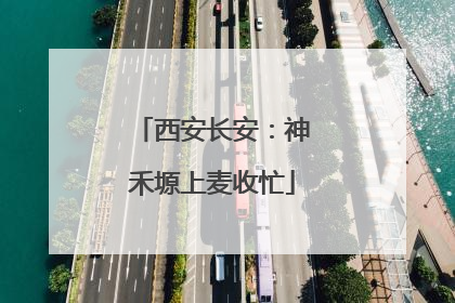西安长安：神禾塬上麦收忙