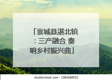 襄城县湛北镇：三产融合 奏响乡村振兴曲