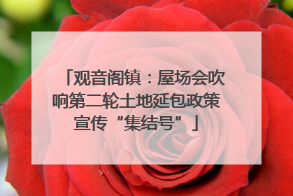 观音阁镇：屋场会吹响第二轮土地延包政策宣传“集结号”