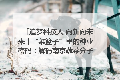 追梦科技人 向新向未来｜“菜篮子”里的种业密码：解码南京蔬菜分子育种的创新之路