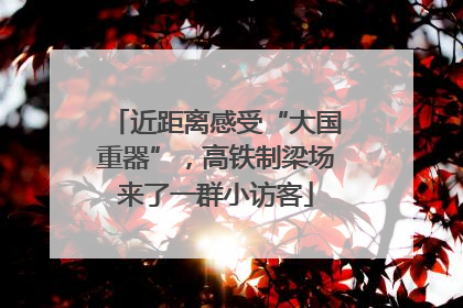 近距离感受“大国重器”，高铁制梁场来了一群小访客