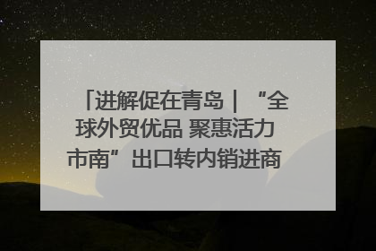 进解促在青岛｜“全球外贸优品 聚惠活力市南”出口转内销进商超专场活动启动