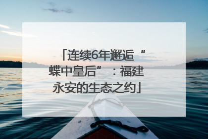 连续6年邂逅“蝶中皇后”：福建永安的生态之约