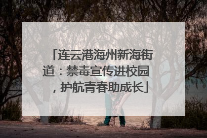连云港海州新海街道：禁毒宣传进校园，护航青春助成长