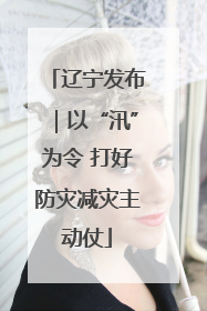 辽宁发布｜以“汛”为令 打好防灾减灾主动仗