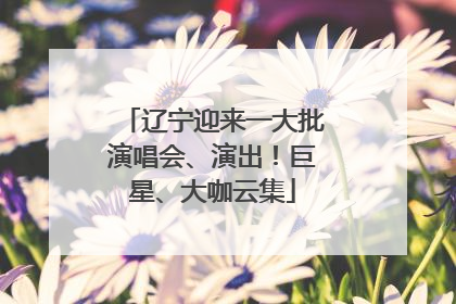 辽宁迎来一大批演唱会、演出！巨星、大咖云集