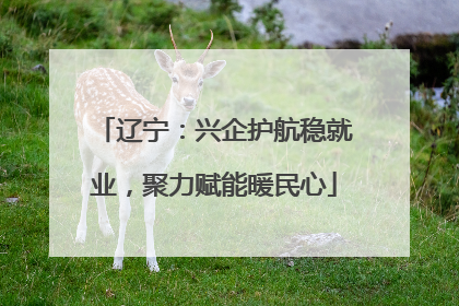 辽宁：兴企护航稳就业，聚力赋能暖民心