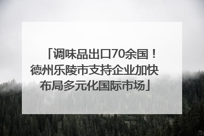 调味品出口70余国！德州乐陵市支持企业加快布局多元化国际市场