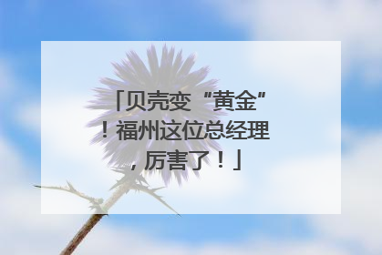 贝壳变“黄金”！福州这位总经理，厉害了！