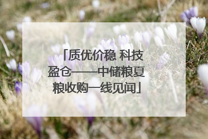 质优价稳 科技盈仓——中储粮夏粮收购一线见闻