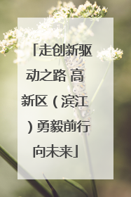 走创新驱动之路 高新区（滨江）勇毅前行向未来