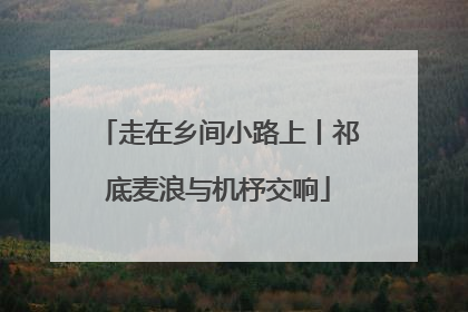 走在乡间小路上丨祁底麦浪与机杼交响