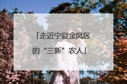 走近宁夏金凤区的“三新”农人