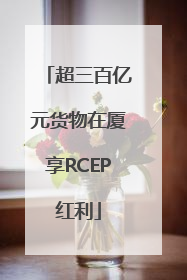 超三百亿元货物在厦享RCEP红利