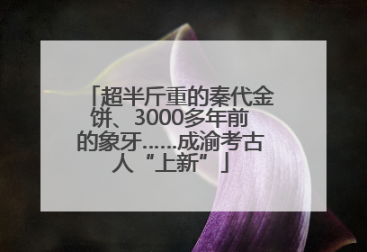超半斤重的秦代金饼、3000多年前的象牙……成渝考古人“上新”