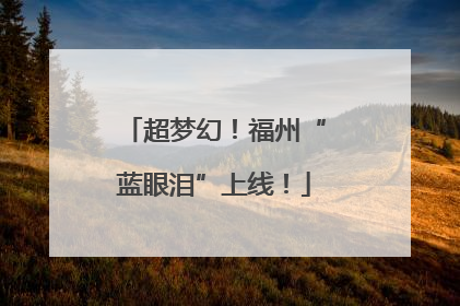 超梦幻！福州“蓝眼泪”上线！