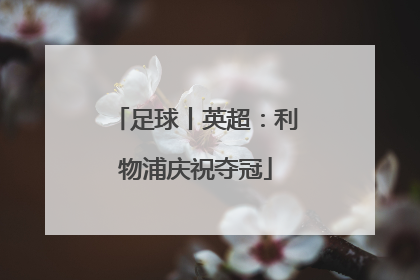 足球丨英超：利物浦庆祝夺冠