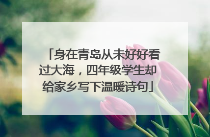 身在青岛从未好好看过大海，四年级学生却给家乡写下温暖诗句