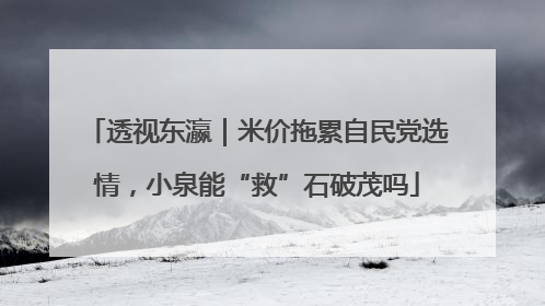 透视东瀛｜米价拖累自民党选情，小泉能“救”石破茂吗