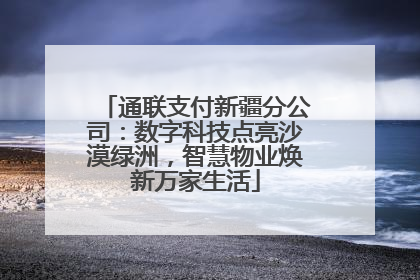 通联支付新疆分公司：数字科技点亮沙漠绿洲，智慧物业焕新万家生活