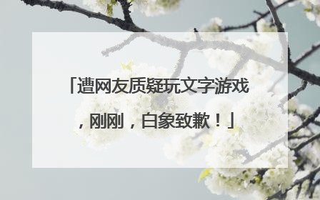 遭网友质疑玩文字游戏，刚刚，白象致歉！