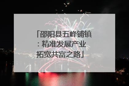 邵阳县五峰铺镇：精准发展产业 拓宽共富之路