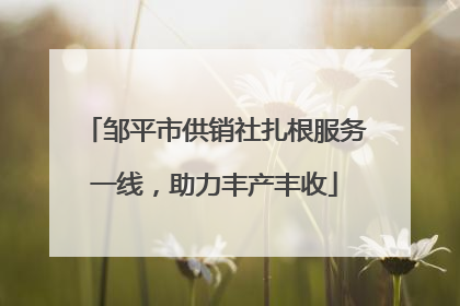 邹平市供销社扎根服务一线，助力丰产丰收