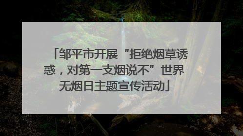 邹平市开展“拒绝烟草诱惑，对第一支烟说不”世界无烟日主题宣传活动