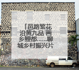 邑路繁花 沿黄九品 画乡鲤都……聊城乡村振兴片区建设亮点纷呈