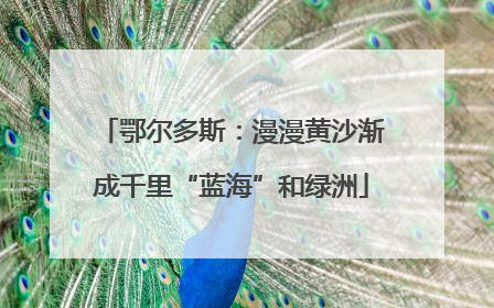 鄂尔多斯：漫漫黄沙渐成千里“蓝海”和绿洲