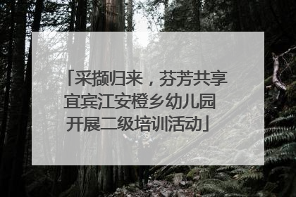 采撷归来，芬芳共享 宜宾江安橙乡幼儿园开展二级培训活动
