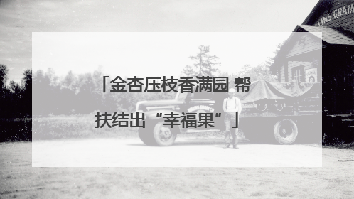 金杏压枝香满园 帮扶结出“幸福果”
