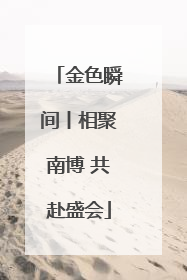 金色瞬间丨相聚南博 共赴盛会