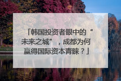 韩国投资者眼中的“未来之城”，成都为何赢得国际资本青睐？