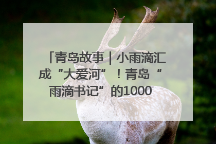 青岛故事｜小雨滴汇成“大爱河”！青岛“雨滴书记”的1000场公益长跑路