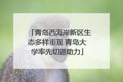 青岛西海岸新区生态多样重现 青岛大学率先切题助力